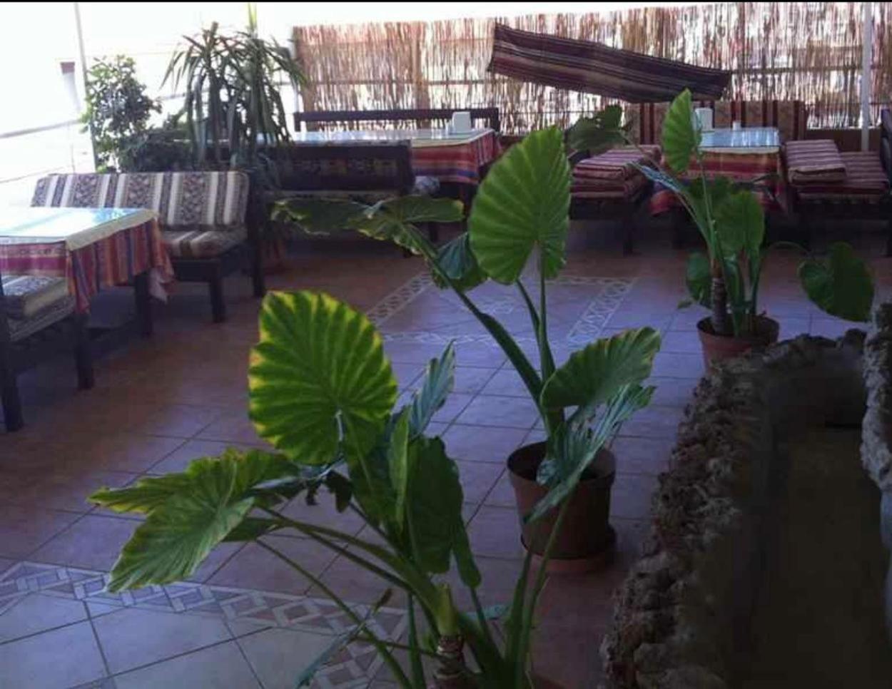Denizhan Hotel Antalya Exterior photo